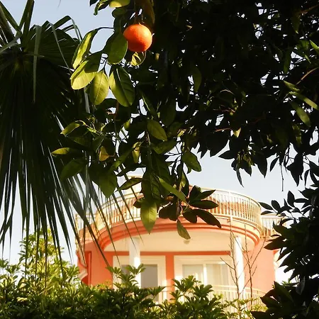 Hollandalilar Sitesi Payallar
